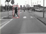 Pedestrian detection
