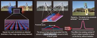 canon-dual-pixel-af-structure