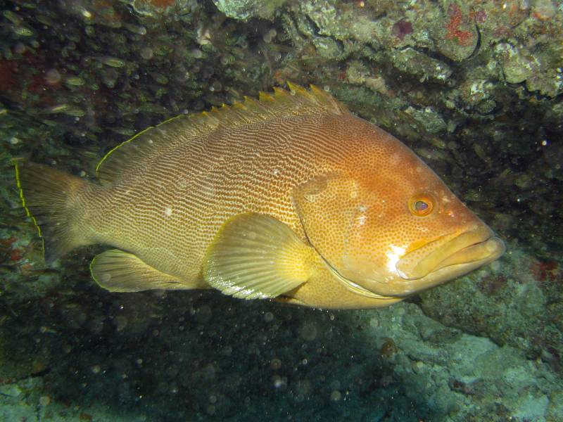 IMG_3866.JPG