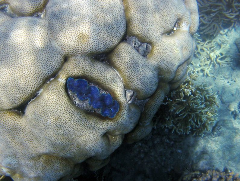img_3455.jpg