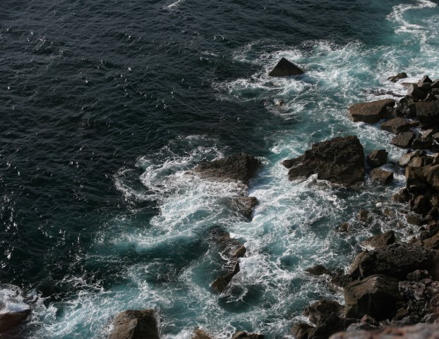 IMG_4182.jpg