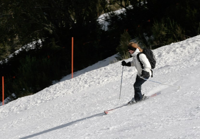 IMG_1154.jpg
