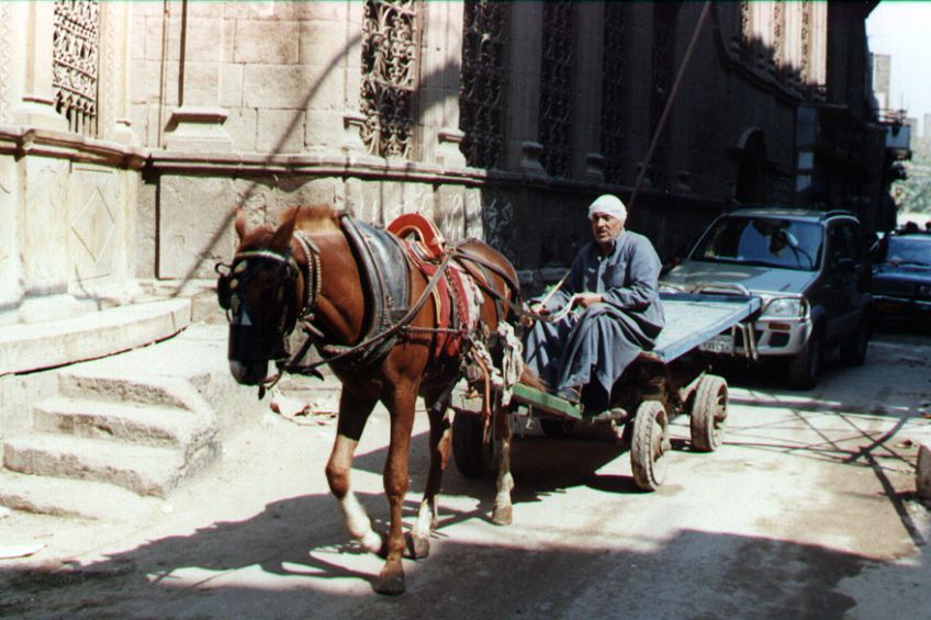 02markt.jpg