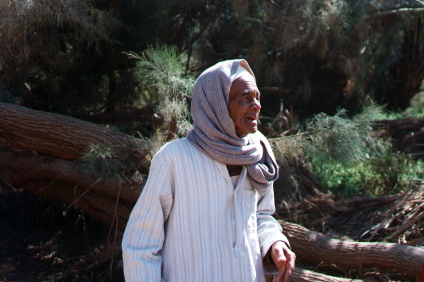37bacharia.jpg