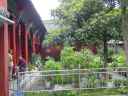 DSC00179.JPG