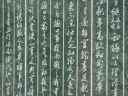 DSC00222.JPG