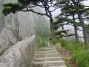 DSC00265.JPG