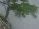 DSC00296.JPG