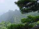 DSC00305.JPG