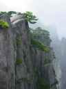 DSC00307.JPG