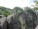 DSC00308.JPG