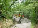 DSC00310.JPG