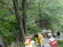DSC00313.JPG