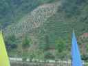 DSC00315.JPG