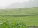 DSC00319.JPG