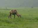 DSC00320.JPG