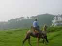 DSC00326.JPG