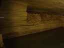 DSC00333.JPG