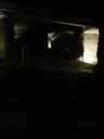 DSC00335.JPG